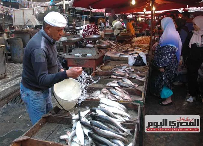 أسعار الأسماك في سوق العبور اليوم الخميس: البلطي بـ82 جنيهاً أسعار الأسماك في سوق العبور اليوم الخميس: البلطي بـ82 جنيهاً