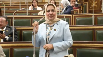سحر صدقي: وزارة الخارجية أوضحت موقف مصر التاريخي بشأن القضية الفلسطينية