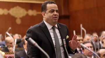 وكيل التشريع في مجلس الشيوخ: بيان وزارة الخارجية يعكس تقدير السيادة الوطنية
