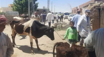 وزارة الزراعة تنظم 431 قافلة بيطرية مجانية لعلاج أكثر من 235 ألف حيوان وطائر.