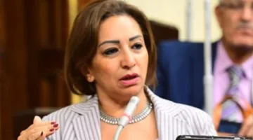 مها عبد الناصر لـ “مصر تايمز”: هناك معايير لدخول الأجانب والظروف لا تحتمل مزيد من التوتر على الحدود