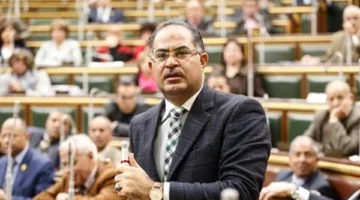 النائب سليمان وهدان: بيان الخارجية يعكس الموقف الرسمي لمصر الثابت في القضايا الوطنية والقومية