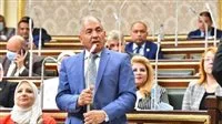 حزب حماة الوطن: سنتنافس بجدية على كافة المقاعد في انتخابات الشيوخ