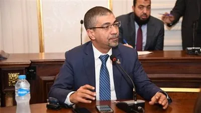 محمد البدري: تصريح الخارجية حول الوفود الأجنبية إلى غزة يعكس توازن مصر بين السيادة والجهود الإنسانية. محمد البدري: تصريح الخارجية حول الوفود الأجنبية إلى غزة يعكس توازن مصر بين السيادة والجهود الإنسانية.