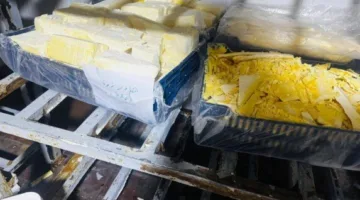 مصادرة منتجات إنتاج مخالفة وإغلاق مصنع ألبان غير مرخص في شبرا الخيمة