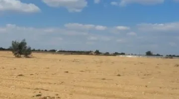 تاريخ تسليم أراضي المرحلة الثامنة التكميلية في مشروع بيت الوطن بالعبور الجديدة