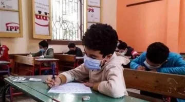 رابط نتائج النقل لعام 2025 في الجيزة لجميع الصفوف من الثالث إلى السادس ابتدائي أصبح رسميًا الآن.