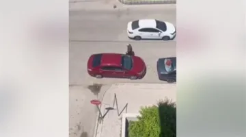 بين التسول وريادة الأعمال: فيديو يثير حيرة المتابعين ويشعل منصات التواصل الاجتماعي