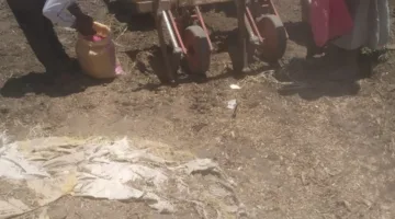 الزراعة تطلق برامج إرشادية لتأهيل مزارعي المحاصيل في المناطق المحلية