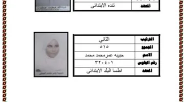 طلاب التحدي: نعرض صور الأوائل من المكفوفين في الشهادة الابتدائية الأزهرية بمحافظة المنيا