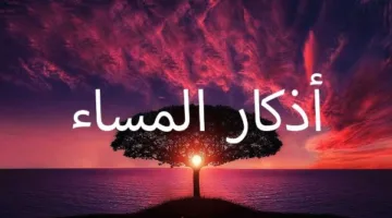 أدعية المساء المروية عن النبي.. أرددها ولا تفوت عليك أجرها