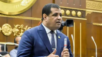 عضو بمجلس الشيوخ: تصريح وزارة الخارجية يبرز المبادئ الثابتة للدولة التي تؤيد القضية الفلسطينية