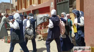 رابط نتائج الصف الثالث الإعدادي 2025 بالاسم ورقم الجلوس في محافظة الأقصر (عند صدورها)