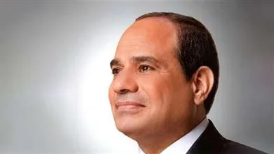 نواب وأحزاب يساندون بيان وزارة الخارجية ويؤكدون: نؤيد خطوات الدولة المصرية لحماية الأمن القومي ونرفض المساس بالسيادة الوطنية.