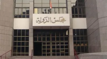 «المحكمة الإدارية العليا»: الأحكام التي تصدر مع وقف التنفيذ لا تُدون في السجل الجنائي.