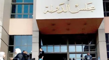المحكمة الإدارية العليا: لا يجوز إدراج الأحكام الجنائية الموقوف تنفيذها في “الفيش” بعد مرور 3 سنوات