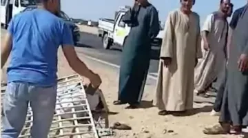 طفلة ضمن الضحايا.. 3 وفيات و11 مصاباً نتيجة انقلاب ميكروباص في صحراء المنيا
