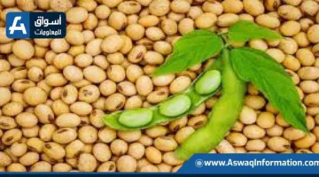 تراجع أسعار فول الصويا العالمية للجلسة الثانية على التوالي