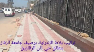 بتكلفة 21 مليون جنيه: تنفيذ مشاريع خدمية وتنموية في حي ثان الزقازيق