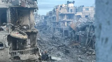 خبير في العلاقات الدولية: الأمم المتحدة تعمل على مواجهة الفيتو الأمريكي ووقف العدوان على غزة