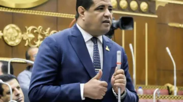 عضو بمجلس الشيوخ: بيان وزارة الخارجية يعكس قوة الموقف المصري الثابت في دعم القضية الفلسطينية
