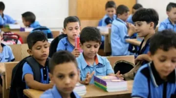 المساعد الذكي والخط المباشر: وسائل الحصول على نتائج النقل لعام 2025 في القاهرة