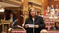 الخارجية المصرية: استغلال اسم مصر لتشويه موقفها من القضية الفلسطينية محاولات غير ناجحة