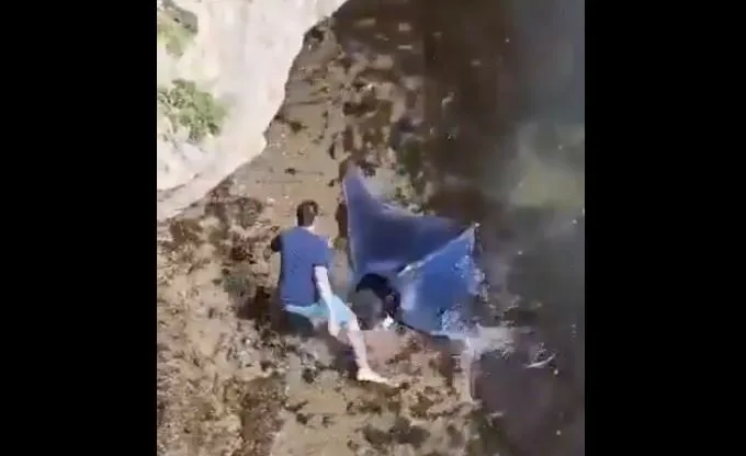 هل رأيت من قبل سمكة الشيطان النادرة؟.. فيديو مذهل ينتظرك
