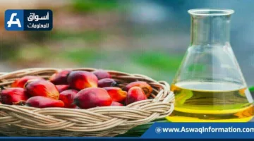 زيادة واردات الهند من زيت النخيل بنسبة 84% في مايو
