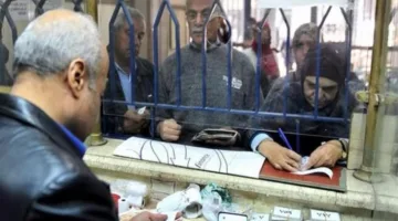 معاش والدك سيستمر معك: قيمة المعاش المستحق للابن بعد وفاة الأب وفقاً لقانون التأمينات الجديد