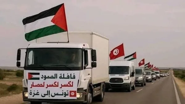 محمد موسى: قافلة الصمود ستار مزيف للفوضى والاضطراب على حدود مصر