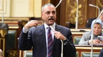 وكيل لجنة النواب التشريعية لـ “تحيا مصر”: أمن مصر مصير مُقدّس.. ولن نسمح بتهجير الفلسطينيين.