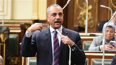 وكيل لجنة النواب التشريعية لـ “تحيا مصر”: أمن مصر مصير مُقدّس.. ولن نسمح بتهجير الفلسطينيين.