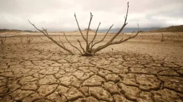الجفاف يؤثر على بعلبك (تقرير إخباري)