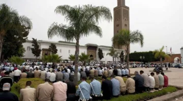 «الأوطان ليست مجرد تربة».. عنوان خطبة الجمعة المقبلة من وزارة الأوقاف