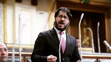 البرلسي: واجب احترام سيادة مصر ورفض أي تشكيك فيها