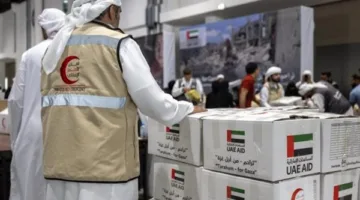 أستاذ العلوم الاجتماعية: 80% من مساعدات غزة تمر عبر مصر