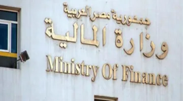 الحكومة تعلن عن استثمارات غير مباشرة بقيمة 107.85 مليار جنيه.. التفاصيل الكاملة