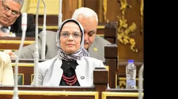 نجلاء العسيلي: مصر ترفض أي محاولة للتقليل من دورها في مساعدة غزة.. وتنظيم دخول القوافل ضروري لضمان الأمن القومي.