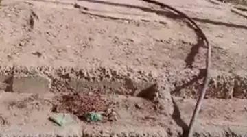 إصابة عامل بحروق نتيجة صعق كهربائي في الدقهلية