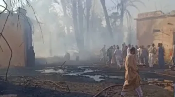 احتراق أشجار ونخيل في قنا