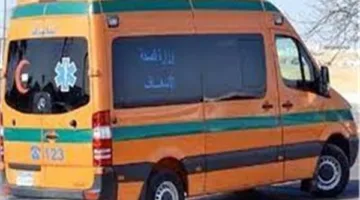 النيابة في المنيا تسمح بدفن جثث ضحايا حادث انقلاب ميكروباص