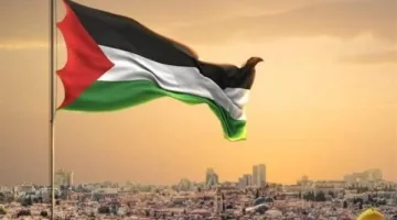مصر: المحرك والداعم الرئيسي للأمة العربية في دعم فلسطين