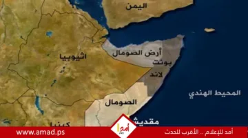 تقرير: إسرائيل تستكشف إمكانية إقامة قاعدة عسكرية في أرض الصومال مقابل اليمن