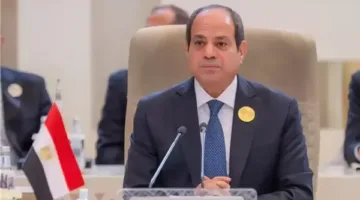 ثلاث لاءات وموقف راسخ: كيف حافظ السيسي على القضية الفلسطينية من خطر التهجير؟