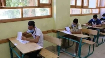 موعد إعلان نتائج الدبلومات الفنية 2025.. رابط للاستعلام عند صدورها