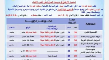 «تجنبوا هذه السبل».. الأرصاد تعلن عن توقعات الطقس ليوم الجمعة 13 يونيو 2025