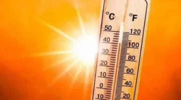أصعب أيام الصيف: بيان هام حول توقعات الطقس اليوم مع درجة حرارة تبلغ 44 مئوية