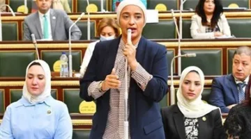 النائبة أميرة أبو شقة: مصر ترفض أي مساومة على مواقفها بشأن القضية الفلسطينية