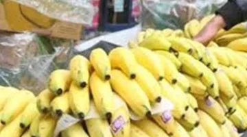 أسعار البطيخ والموز والفواكه في الأسواق اليوم، الجمعة 13 يونيو 2025